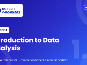 1.1 - Introduction to Data Analysis.png